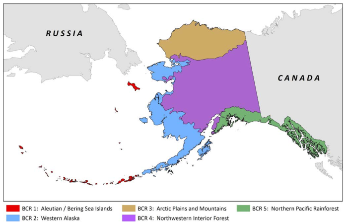 Bird Conservation Regions in Alaska